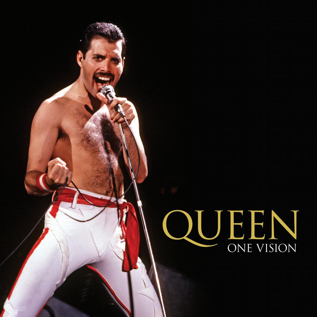 Queen - One Vision