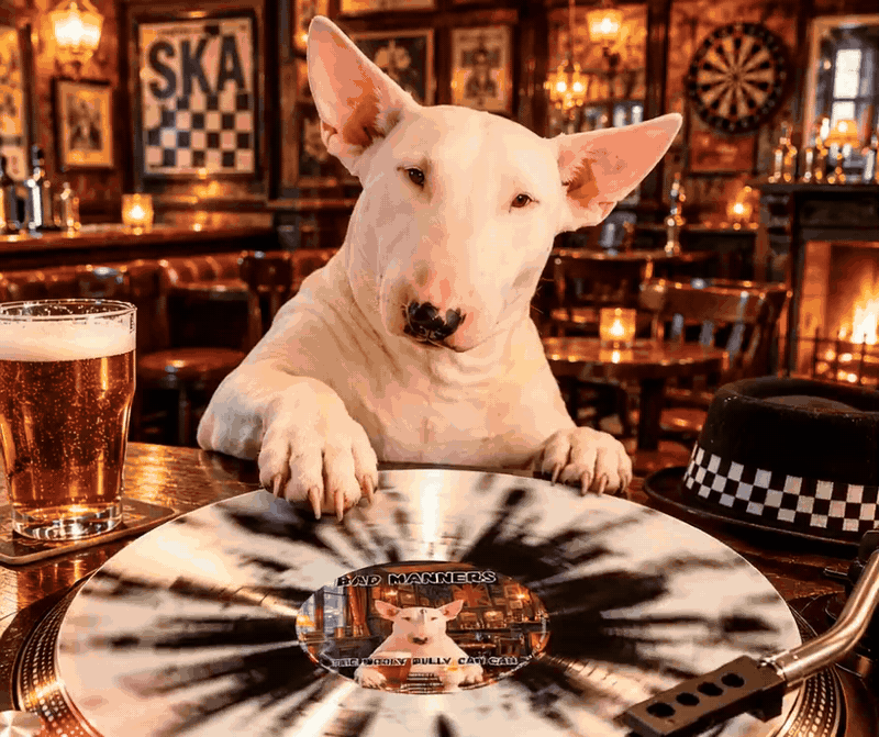 Bad Manners – The Wooly Bully Can Can Utrecht 1996 Limited Edition Splatter Vinyl LP/ PRE-ORDER
